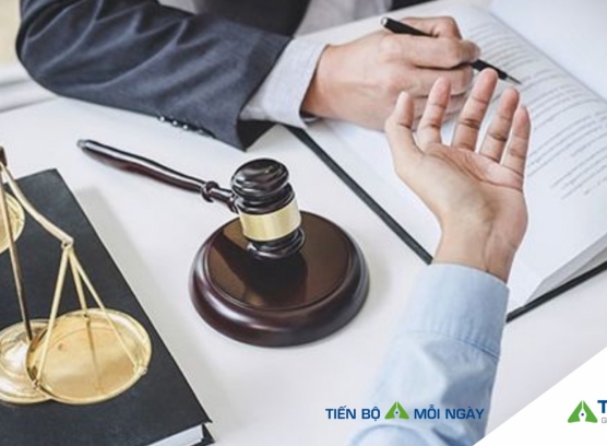 Luật sư TP Legal - Người đồng hành cùng doanh nghiệp phát triển