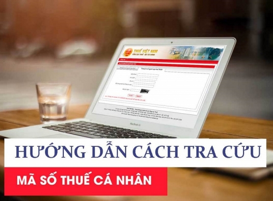 Hướng dẫn tra cứu mã số thuế cá nhân, doanh nghiệp online với CMND/CCCD